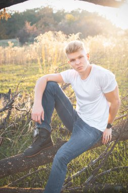 Yakışıklı genç bir dalda günbatımında oturuyor