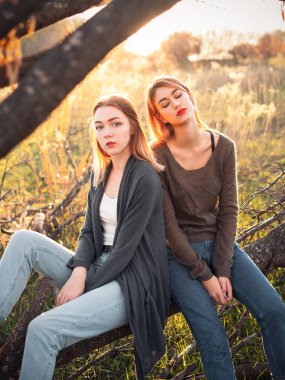 İki genç kadın gün batımında ağacın yakınında oturuyor