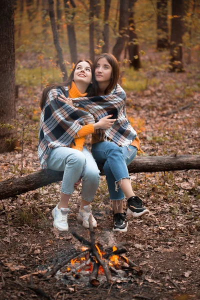 Dos Jóvenes Sentadas Bosque Cerca Hoguera Mejores Amigos —  Fotos de Stock