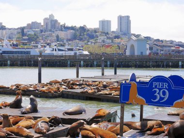 San Francisco, ABD - 4 Mayıs 2018: Sahne Pier 39 deniz aslanları ahşap platformlar üzerinde dinlenme ile feribot iskelesi 43 Arch ve bazı gemilerin limanda otopark da dahil olmak üzere şehrin tepelik peyzaj manzaralı