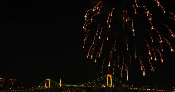 Gouden Kerst Vuurwerk Tokyo 2017 Regenboog Brug Achtergrond Ontleend Aan — Stockvideo