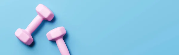 Rózsaszín Dumbbells a kék háttér — Stock Fotó