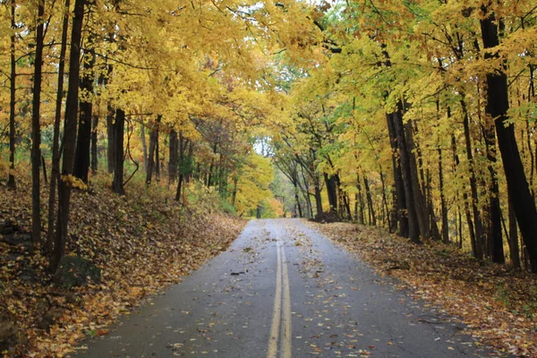 Kleurrijke Herfst Gekleurde Bomen Weg Bij Pare Marquette Staatspark Grafton — Stockfoto