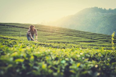güzel kadın uyan ve sabahları çay bahçesinde çalışma