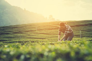 güzel kadın uyan ve sabahları çay bahçesinde çalışma
