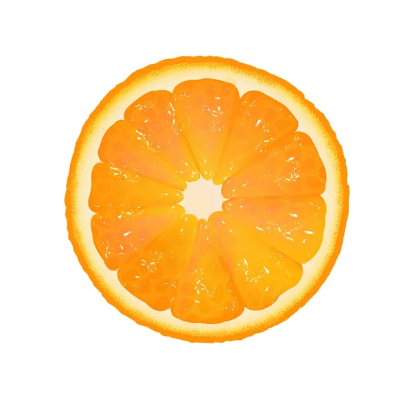 Orange Slice White Background Gradient Mesh Vector Illustration — Stock Vector