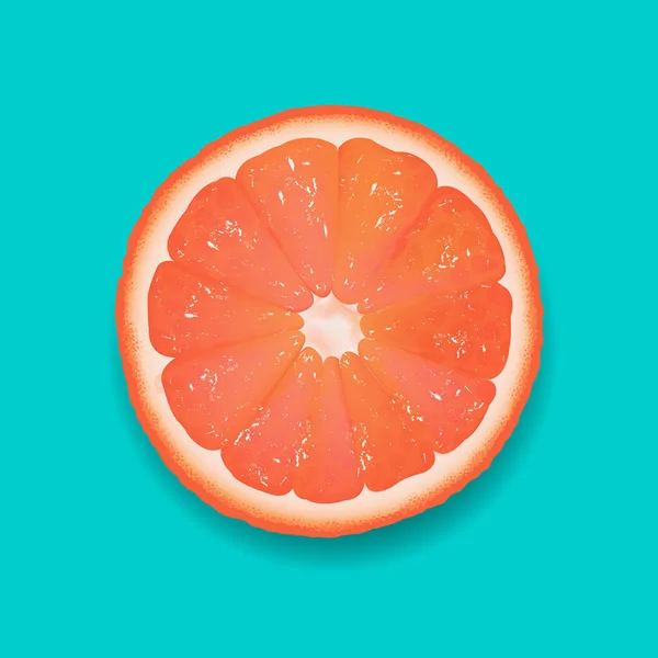 Grapefruit Segment Mint Achtergrond Met Gradiënt Mesh Vector Illustratie — Stockvector