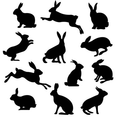 Tavşan vektör illüstrasyon izole, ayarla