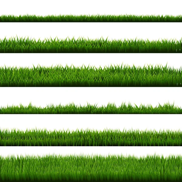 Grön Gräs Gräns Stor Kollektion Vektor Illustration — Stock vektor