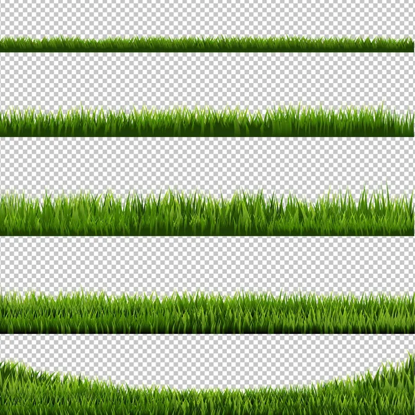 Herbe Verte Fond Transparent Illustration Vectorielle — Image vectorielle