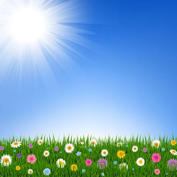 Χόρτο Και Λουλούδια Σύνορα Και Ουρανός Κλιμακωτά Μάτια Διανυσματική Εικονογράφηση — Διανυσματικό Αρχείο