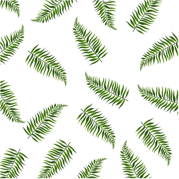 Palmblätter Isolierter Weißer Hintergrund Vektorillustration — Stockvektor
