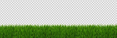 Yeşil Çimen Sınır Şeffaf Arkaplan Gradyan Ağ, Vektör Resimleri