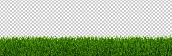 Yeşil Çimen Sınır Şeffaf Arkaplan Gradyan Ağ, Vektör Resimleri