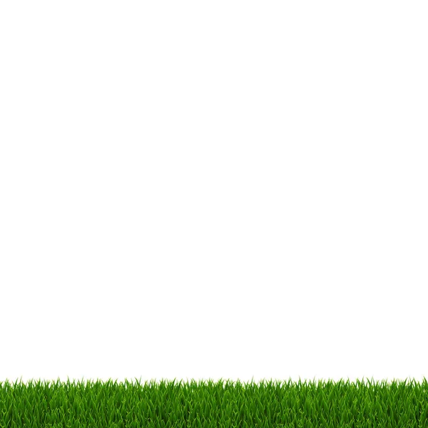 Grüner Grasrahmen Weißer Hintergrund Mit Gradientennetz Vektorillustration — Stockvektor