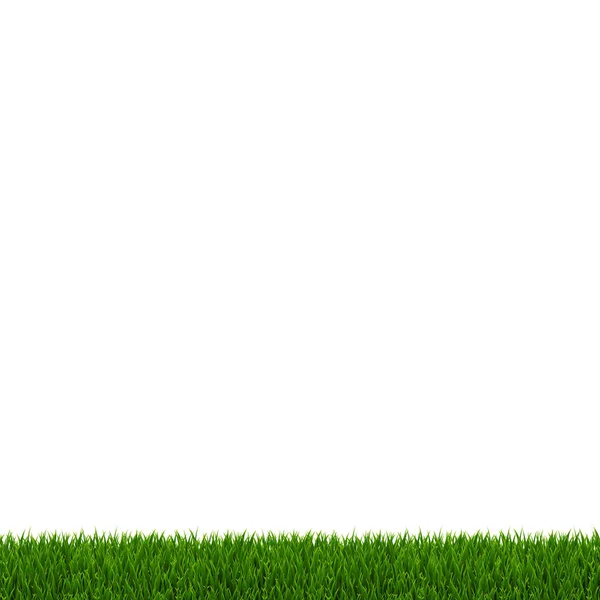 Groen Gras Frame Witte Achtergrond Met Gradiënt Mesh Vector Illustratie — Stockvector