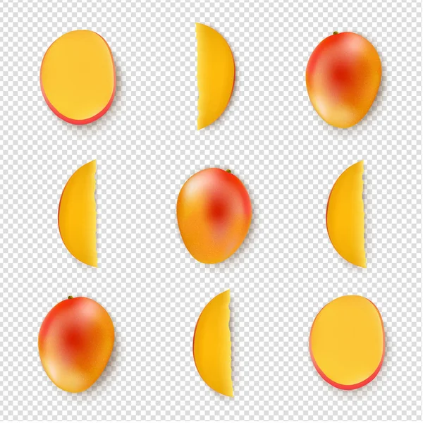 Mango Isolated Transparent Background Gradient Mesh Vector Illustration — 스톡 벡터