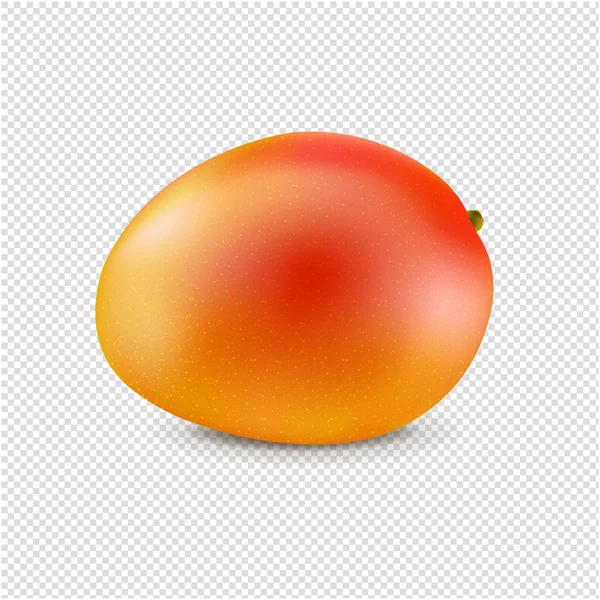 Mango Isolated Transparent Background Gradient Mesh Vector Illustration — 스톡 벡터