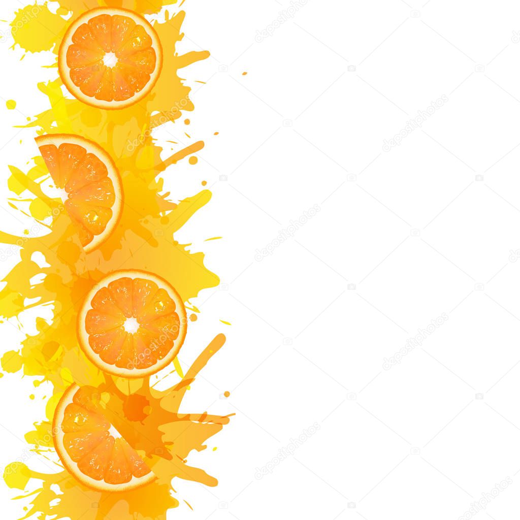 Orange Fruits Border With Paint With Gradient Mesh, Vector Illustration