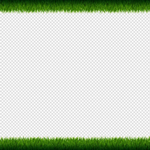 Grasrahmen Isoliert Transparenter Hintergrund Vektorillustration — Stockvektor