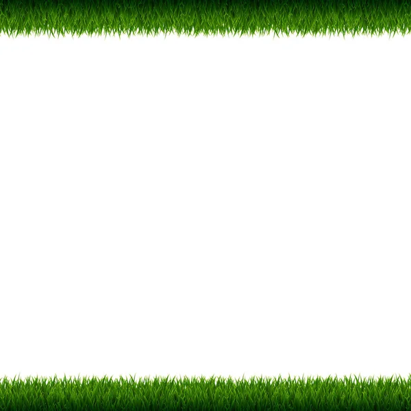 Grass Frame Isolated Vector Illustration — Stock Vector