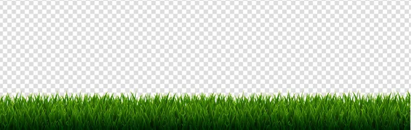 Green Grass Border Transparent Background Gradient Mesh Vector Illustratio — Stock Vector