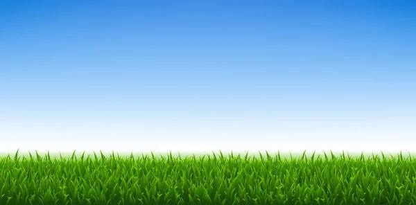 緑の草と青い空の背景 ベクトルイラスト — ストックベクタ