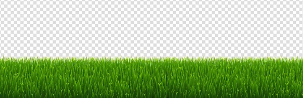 Green Grass Border Transparent Background Vector Illustration — 스톡 벡터