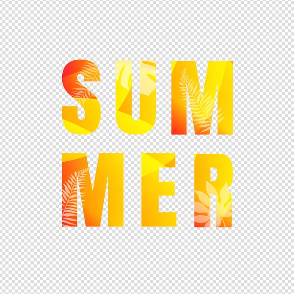 Summer Text Isolated Transparent Background Vector Illustration — Stock Vector