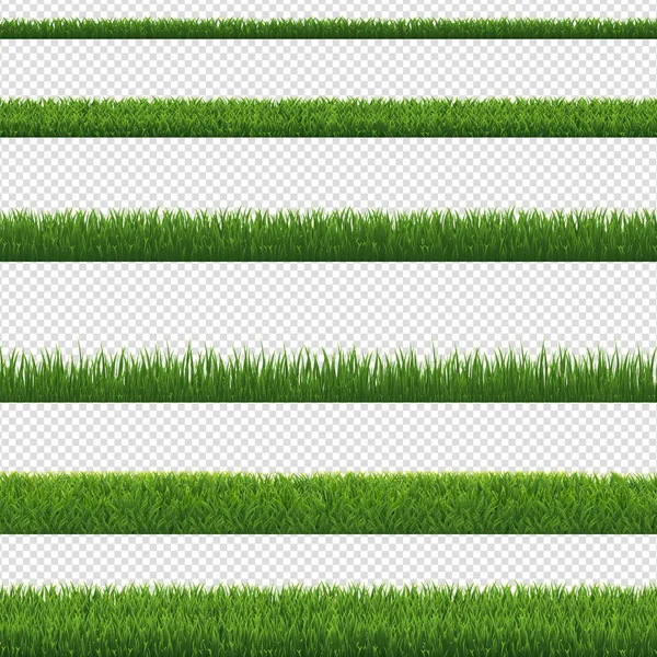 Groene Grasgrens Transparante Achtergrond Vectorafbeelding — Stockvector