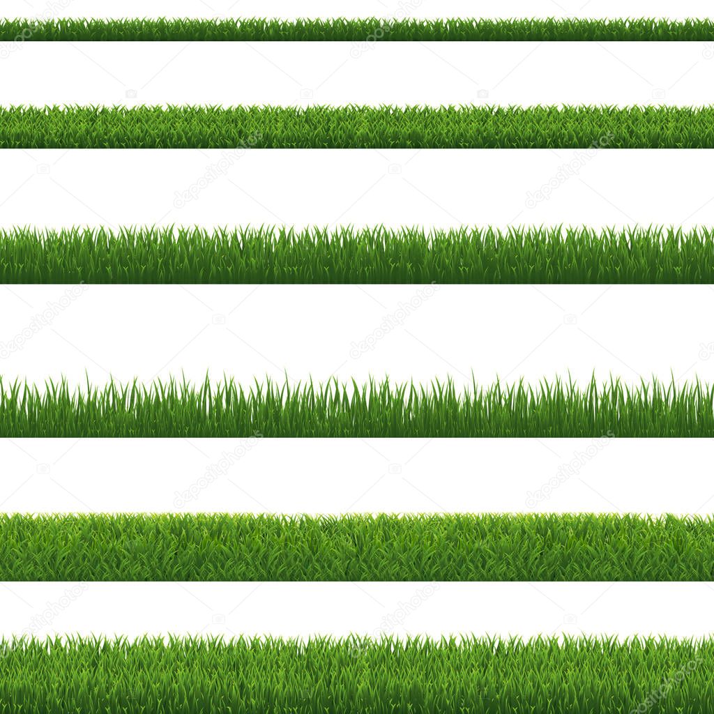 Green Grass Border And White Background, Vector Illustration