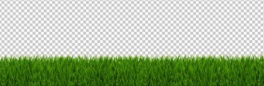 Yeşil Çimen Sınırı Şeffaf Arkaplan