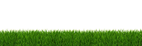 Grüne Grasgrenze — Stockvektor