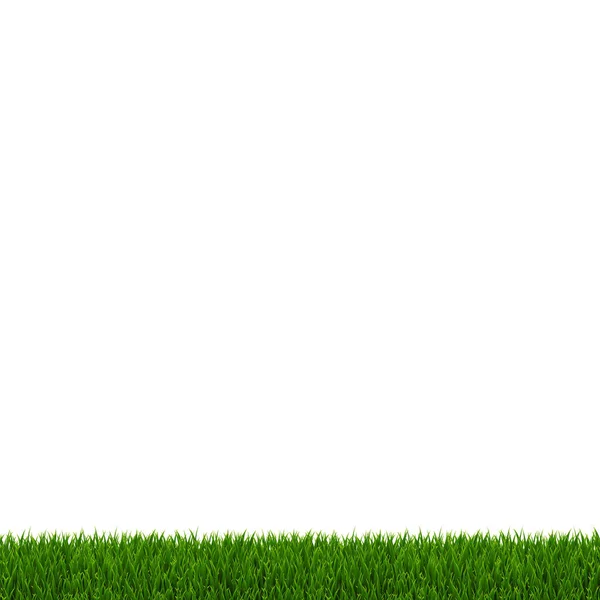 Quadro de grama verde fundo branco — Vetor de Stock