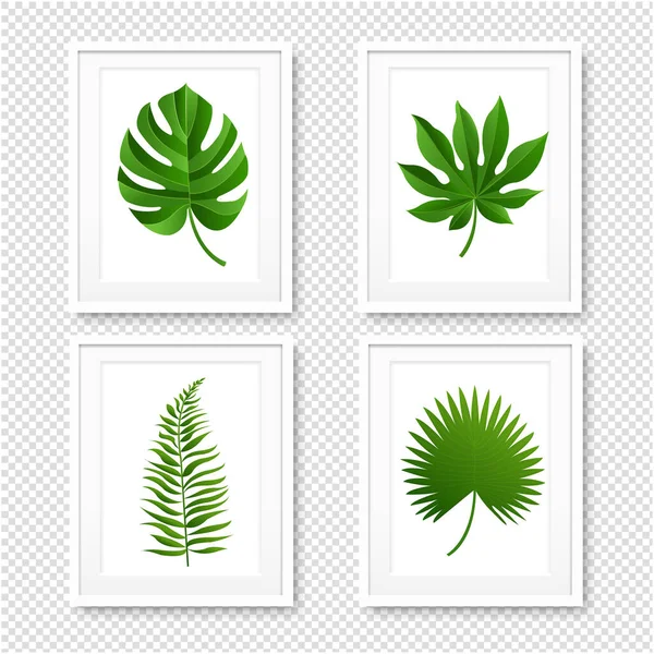 Cadre photo avec feuilles de palmiers isolées — Image vectorielle