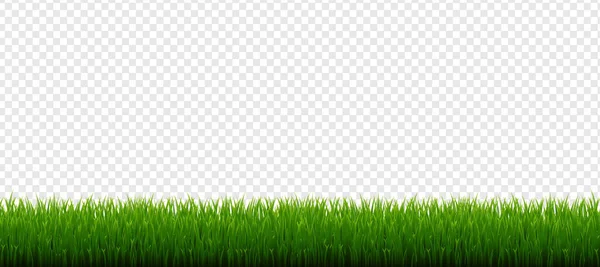 Green Grass Border Isolated Transparent Background — Stock Vector