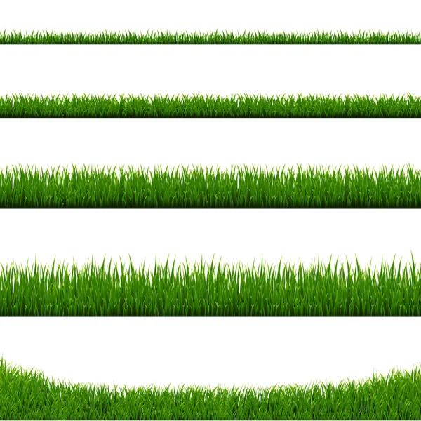Zielona rama trawy zestaw i izolowane białe tło — Wektor stockowy