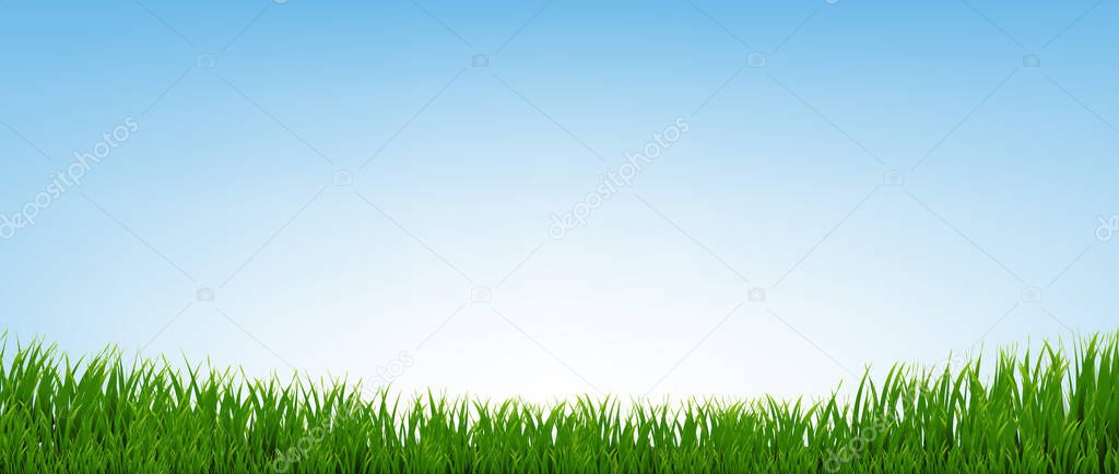 Green Grass Border With Blue Background With Gradient Mesh, Vector Illustration