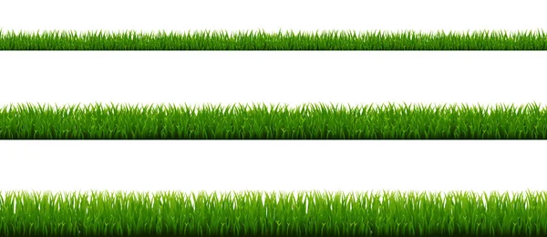 Grön Gräs Gränssamling Och Vit Bakgrund Med Gradient Mesh Vektor — Stock vektor