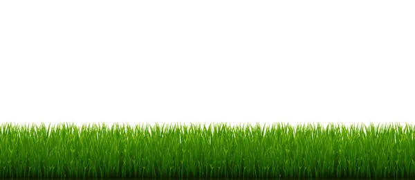 Groene Grasrand Witte Achtergrond Met Gradiënt Gaas Vectorillustratie — Stockvector
