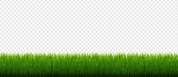 Πράσινο Γρασίδι Σύνορα Και Λευκό Φόντο Βαθμονομημένο Πλέγμα Διανυσματική Εικονογράφηση — Διανυσματικό Αρχείο