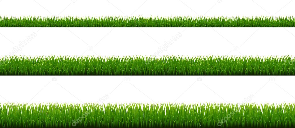 Green Grass Border Collection And White Background With Gradient Mesh, Vector Illustration