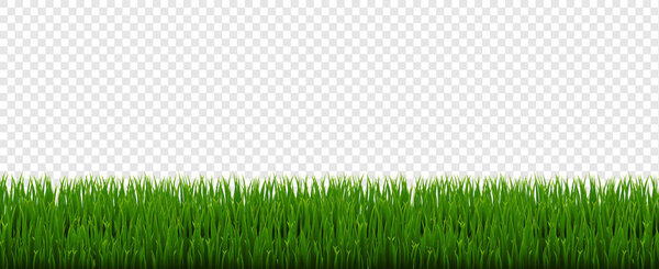Green Grass Border With Transparent Background With Gradient Mesh, Vector Illustration