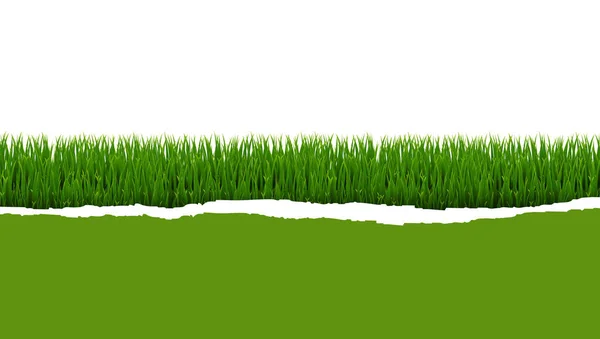 Panorama Hierba Verde Con Fondo Blanco Papel Rasgado Con Malla — Vector de stock