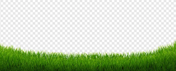 Green Grass Panorama Background Gradient Mesh Vector Illustration — стоковый вектор