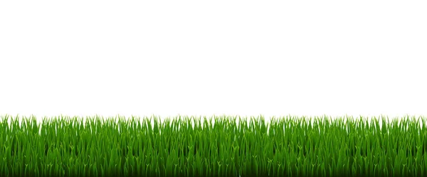 Grön gräs Panorama med vit bakgrund — Stock vektor