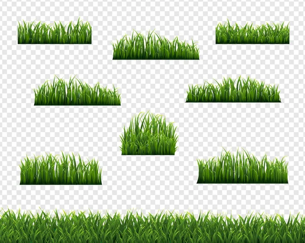 Grüne Grasgrenzen und transparenter Hintergrund — Stockvektor