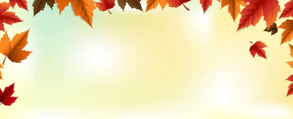 Banner de otoño con hojas coloridas Desenfoque fondo — Vector de stock