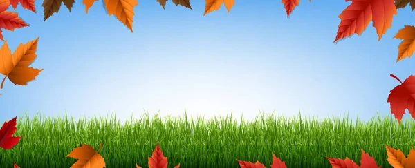 Cartel de venta de otoño con hojas — Vector de stock