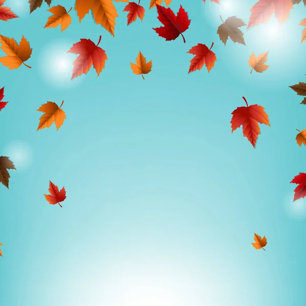 나뭇잎과 푸른 배경이 있는 가을 카드 — 스톡 벡터